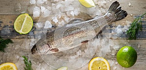 Preparation of trout, sliced lemon and green rosemary. Cooking food on wooden board photo