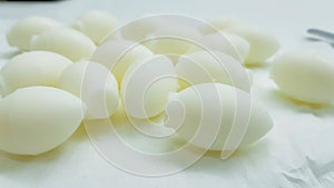 Preparation of vaginal ovules