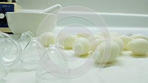 Preparation of vaginal ovules