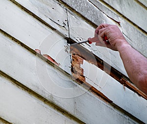 Preparation work before painting, this weatherboard will have to be replaced