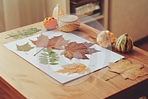 Preparations for autumn craft with kids. Herbarium from dried leaves.