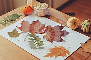 Preparations for autumn craft with kids. Herbarium from dried leaves