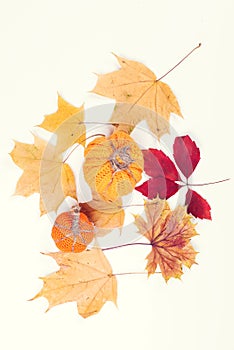 Preparations for halloween. Autumn decorations. Autumn dried leaves. Autumn craft for kids