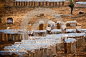 Preparatives for fireworks in the city of Locorotondo, in the so photo