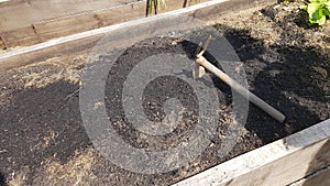 prepare organic vegetable garden with hoe. soil ready to cultivate in raised wooden bed