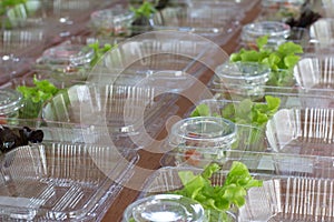 Prepare rice for out door in plastic box