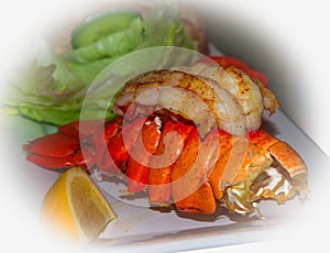 Prepared and cooked lobster tail starter