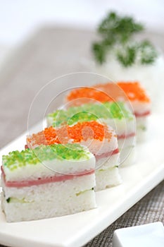 Prepared and delicious sushi taken in studio