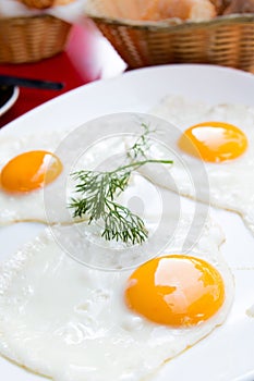 Prepared Egg