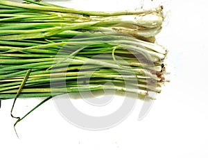 Prepared Green leek vegetables Begins to shrivel most of the time Placed on a white background and copy space for text