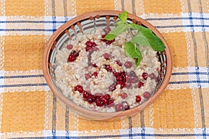 Prepared oats porridge with fresh red currants in clay bowl