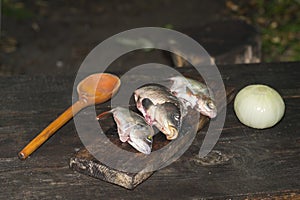 Prepared raw fish with wooden spoon and onion on vintage wooden table surface. Kitchen concept on fishing and Hiking