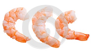 Prepared shrimp isolated