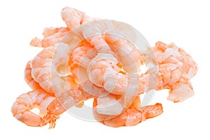 Prepared shrimp isolated photo