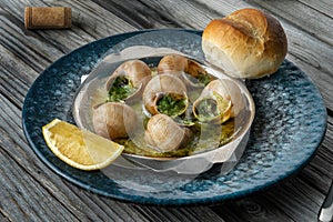 Prepared snails with butter sauce, white bread and spice on white salty plate. Snails baked with sauce, Escargot Snails