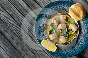 Prepared snails with butter sauce, white bread and spice on white salty plate. Snails baked with sauce, Escargot Snails