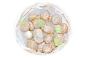 Prepared snails escargot photo