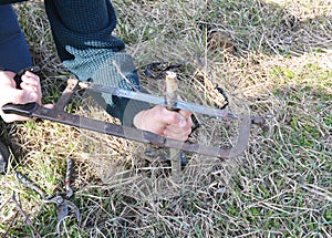 Preparing Apple Tree Branch for Grafting with Knife. Grafting Fruit Trees Step by Step.