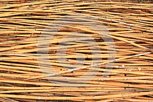 Preparing the bamboo pile