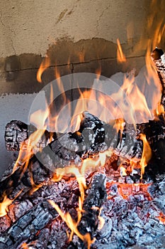 Burning wood to obtain carbon photo
