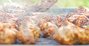 Preparing Barbecue With Pork Meat Rolls And Stakes