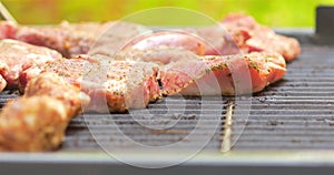 Preparing Barbecue With Pork Meat Rolls And Stakes
