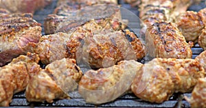 Preparing Barbecue With Pork Meat Rolls And Stakes