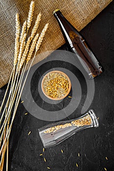 Preparing beer. Barley near beer bottle and glass on black background top view