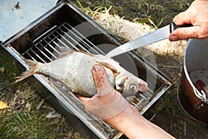 Preparing bream fish for hot food smoked