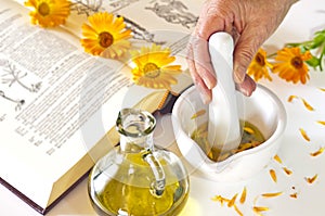 Preparing of calendula oil