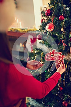 Preparing Christmas tree for Christmas time