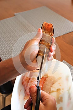 Preparing Crayfish or Lobster for cooking