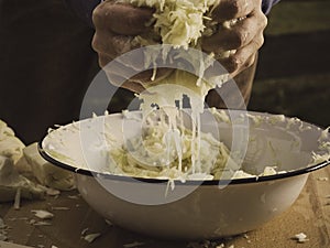 Preparing crunchy, tangy homemade sauerkraut photo