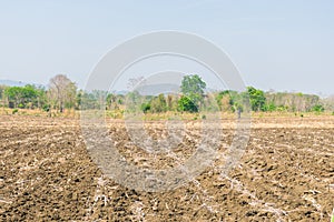 Preparing cultivated soil for agriculture