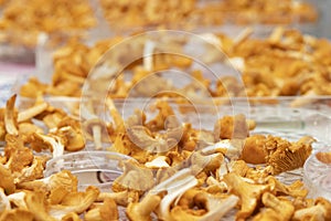 Preparing for drying mushrooms. Vegetables dryer. Chanterelle mushrooms dried for sale on the market