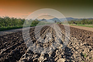 Preparing field for planting