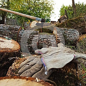 preparing for the fireplace.  firewood, an ax as a good, reliable tool and gloves