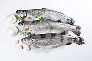 Preparing Fish for a Meal