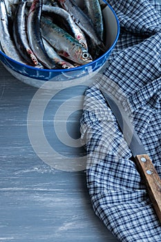 Preparing fresh caught anchovies. Healthy seafood