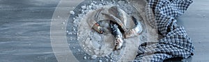 Preparing fresh caught anchovies. Healthy seafood