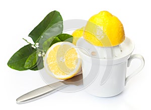 Preparing fresh lemon juice