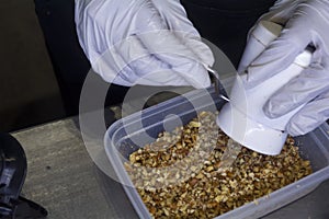 Preparing fresh nuts