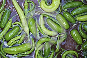 Preparing fresh and organic garden peppers for pickling