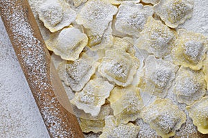 Preparing fresh ravioli.