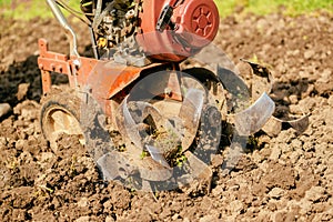Preparing garden soil with cultivator tiller