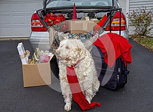 Packing car with Christmas gifts, suitcases ready to get away for the holidays.