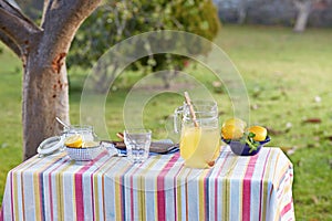 Preparing homemade lemonade in garden table