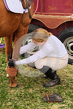 Preparing Horse for Show