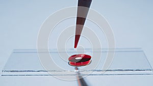 Preparing a microscope slide, dropping a red substance liquid from a petri dish on a microscope slide, closeup macro