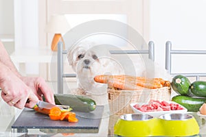 Preparing natural food for pets